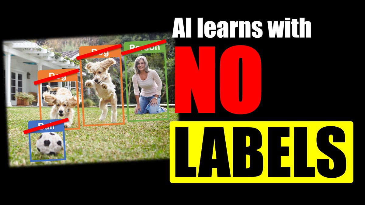Media 1