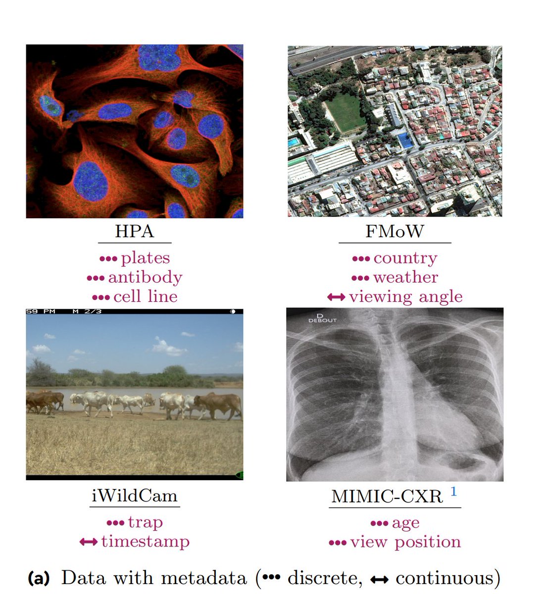 Media 1